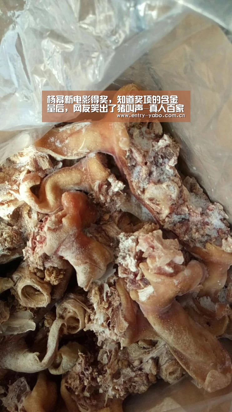 杨幂新电影得奖,知道奖项的含金量后,网友笑出了猪叫声-真人百家乐(图3) 真人百家乐
