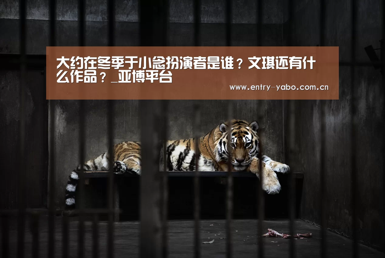 大约在冬季于小念扮演者是谁？文琪还有什么作品？_亚博平台