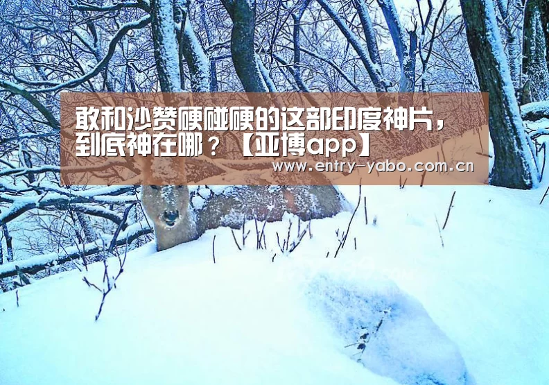 真人百家乐