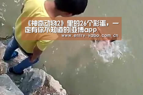 《神奇动物2》里的26个彩蛋,一定有你不知道的|亚博app(图2) 亚博官网